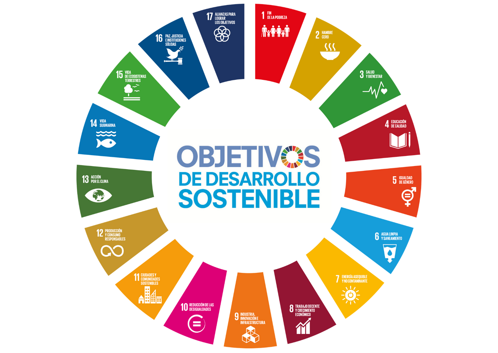 Roda colorida dos Objetivos de Desenvolvimento Sustentável